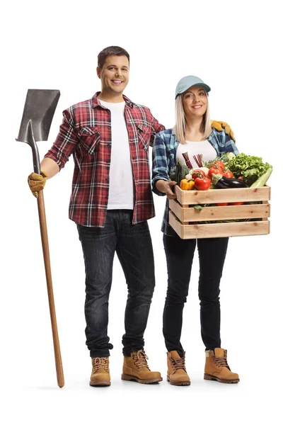 一个男农民拿着铲子 一个女农民拿着一个装有白色背景蔬菜的板条箱的全长肖像 — 图库照片