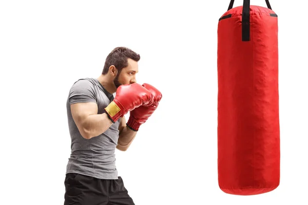 Boxer Scatola Allenamento Con Sacco Boxe Isolato Sfondo Bianco — Foto Stock