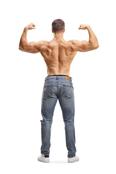 完全な長さリアビューショットのトップレス男でジーンズ曲げ筋肉隔離された白い背景 — ストック写真