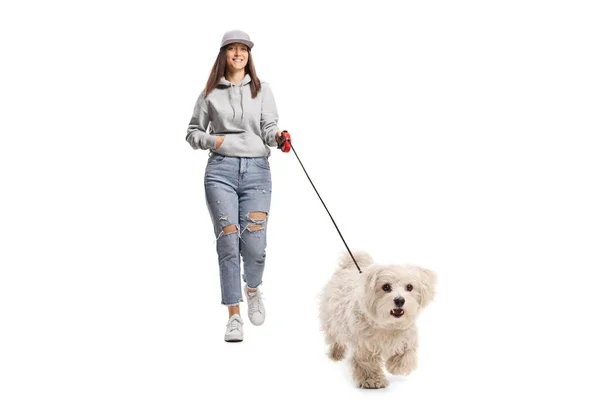 Vrouw Tiener Wandelen Een Wit Maltees Poedel Hond Geïsoleerd Wit — Stockfoto