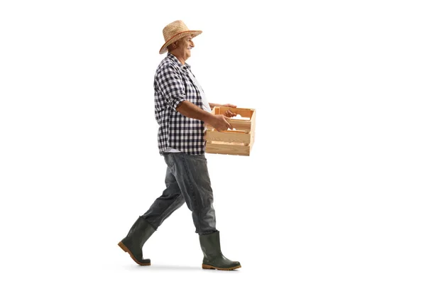一个拿着板条箱 独立行走在白色背景下的成年农民的全身像照片 — 图库照片