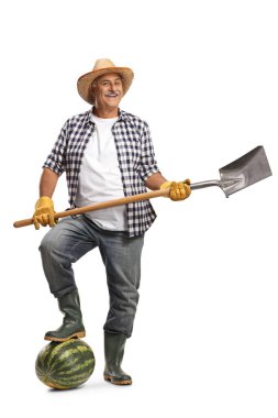 Hasır şapkalı çiftçi elinde kürekle beyaz arka planda izole edilmiş bir karpuza basıyor.