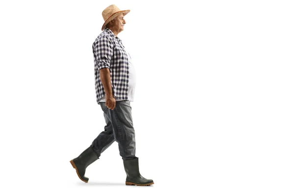 Full Length Profielfoto Van Een Boer Met Een Strohoed Shirt — Stockfoto