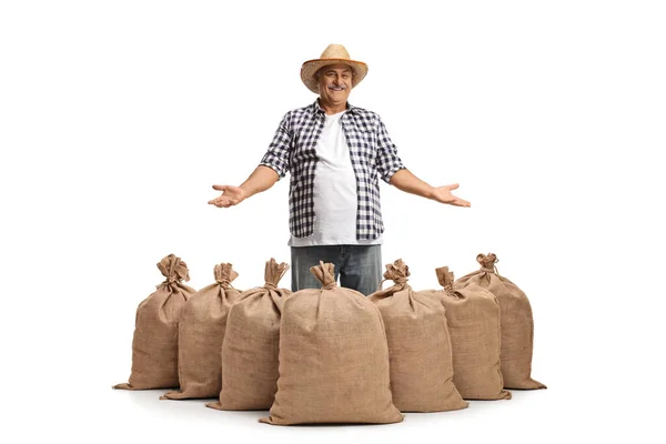 Mature Farmer Straw Hat Showing Pile Burlap Sacks Isolated White — Stock Photo, Image