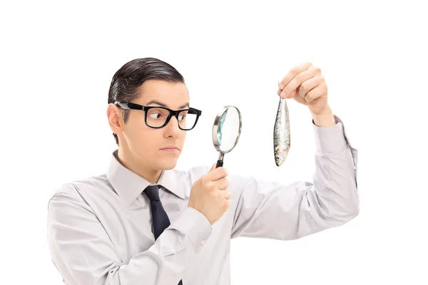 Hombre examinando peces a través de lupa — Foto de Stock