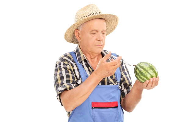 Agricultor injetando produtos químicos na melancia — Fotografia de Stock