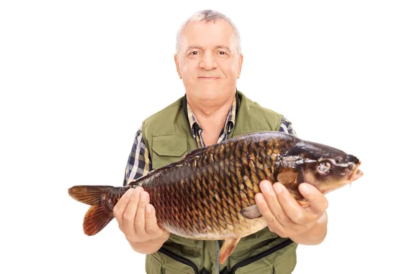 Pescador maduro sosteniendo peces de agua dulce — Foto de Stock