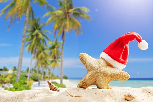 Starfish met KERSTMUTS — Stockfoto