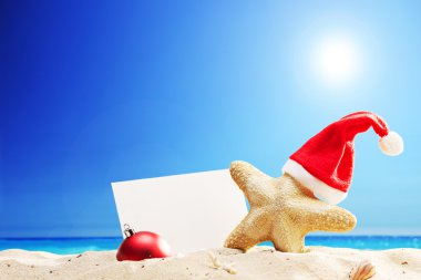 Noel Baba şapkası plajı ile deniz yıldızı