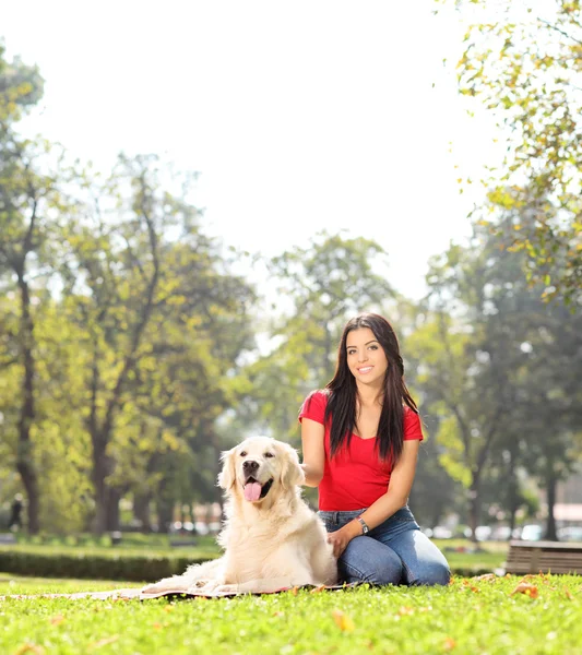 Dívka v parku se svým psem — Stock fotografie