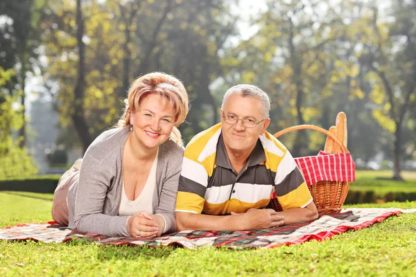 年长的夫妻在公园的毯子上 — 图库照片
