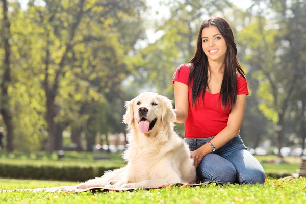 Flicka sitter i parken med hund — Stockfoto