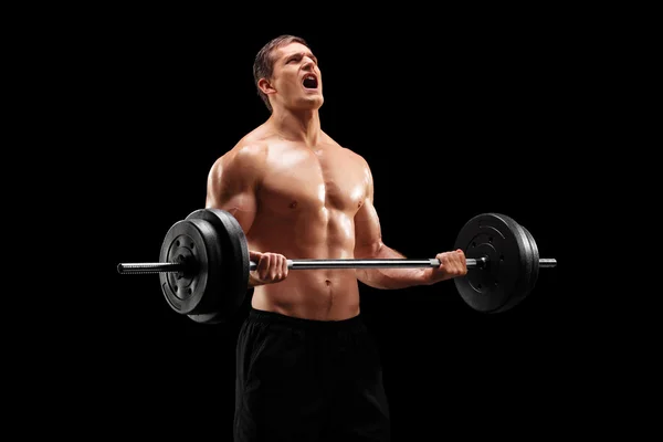 Muscular bodybuilder lifting  with weights — Stock Photo, Image