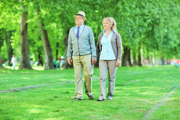 Äldre par i parken — Stockfoto