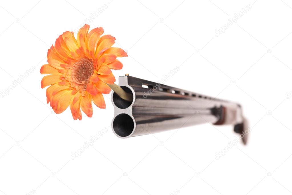 Shotgun with flower in barrel