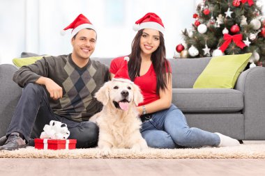 Çift kutluyor Noel ile köpek