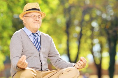 üst düzey beyefendi bir parkta meditasyon