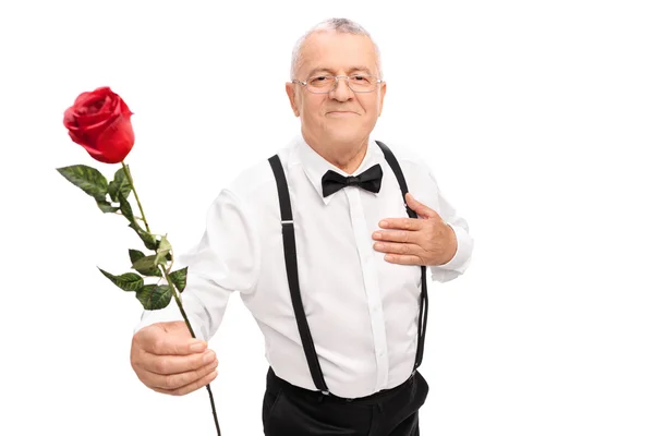 Cavalheiro sénior segurando uma rosa vermelha — Fotografia de Stock