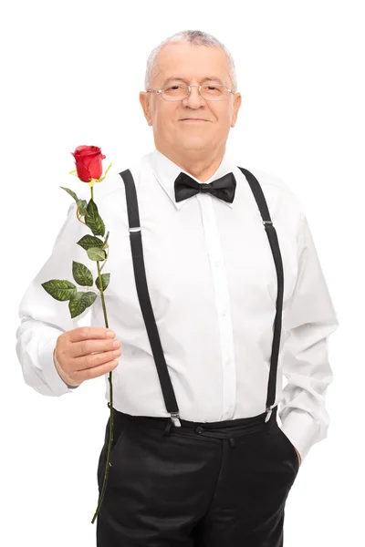 Senior gentleman holding a red rose — Stock Photo, Image