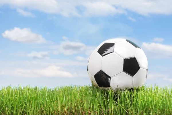 Soccer ball in a green grass field — Stock Photo, Image