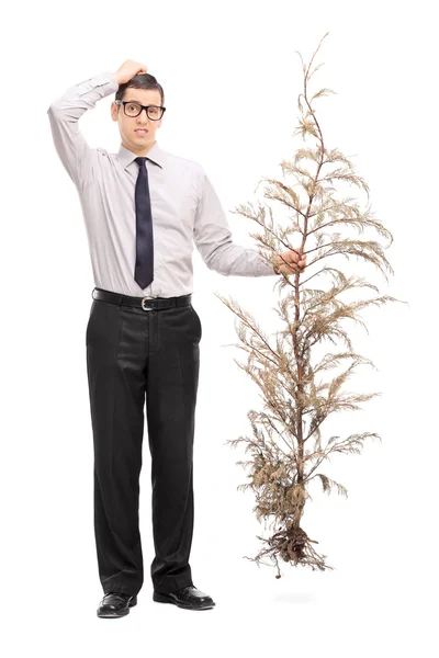 Zmatený chlap drží celý strom — Stock fotografie