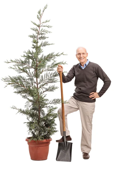 Senior man holding shovel and posing by a tree — Stock fotografie