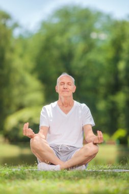 Meditasyon bir komuta sizde dikey çekim üzerinde bir su birikintisi bir alanla battaniyeye oturmuş 