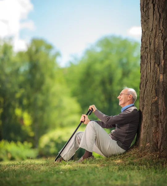 Старший джентльмен, сидящий у дерева в парке — стоковое фото