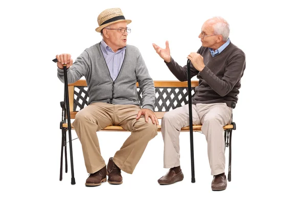 Two senior gentlemen having a conversation — Stock Photo, Image