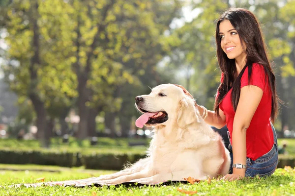 Onun köpeği ile çimlerde oturan kız — Stok fotoğraf