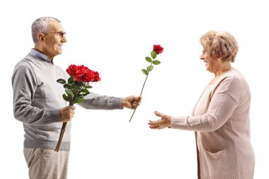 Elderly man giving a red rose to a senior woman isolated on white background