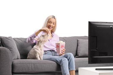 Televizyonun önündeki koltukta oturan ve beyaz arka planda izole edilmiş bir teriyer köpeğine patlamış mısır veren bir kadın.