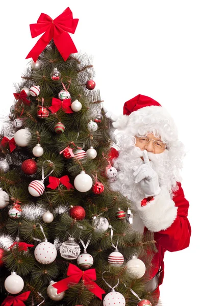Santa Claus hiding behind a Christmas tree — Stock Photo, Image