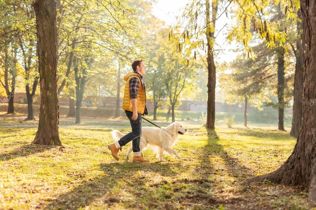 Man walking with dog in a park — Stock Photo © ljsphotography 89353316