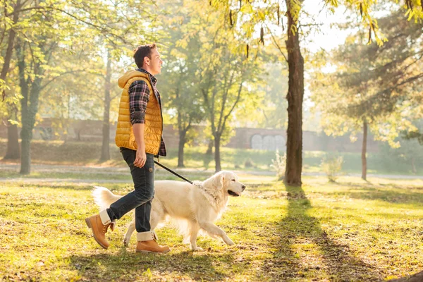 Kille gå med hund i en park — Stockfoto