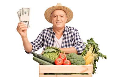Mature farmer holding stacks of dollars