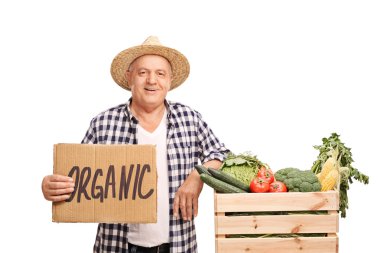 Organik sebze bir sandık ile poz çiftçi