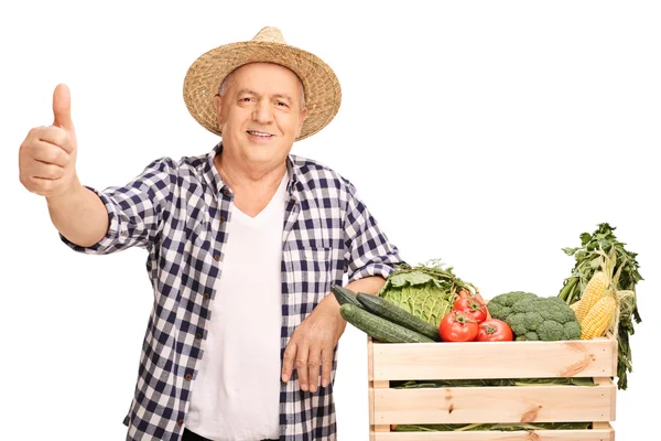 Mature farmer giving a thumb up — Stock Photo, Image