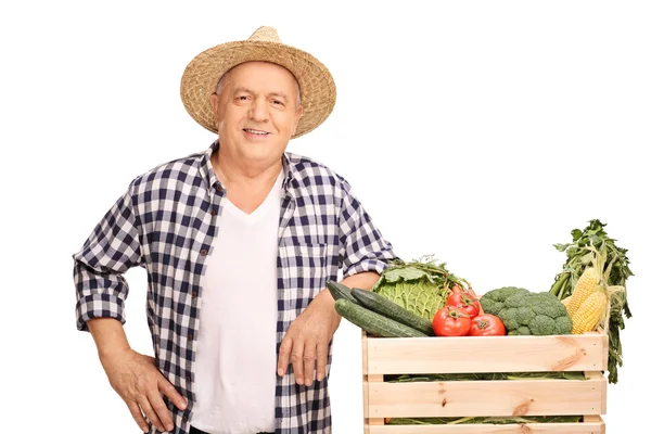 Dojrzały rolnik pozowanie przez klatkę z warzywami — Zdjęcie stockowe