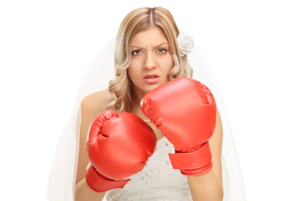 Angry bride with red boxing gloves — Stock Photo, Image