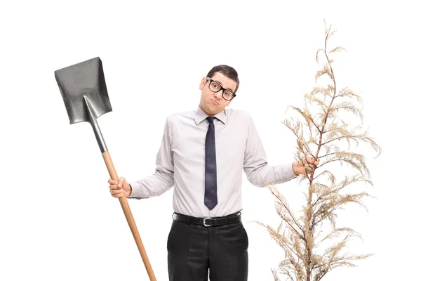 Confused guy holding shovel and a tree — Stok fotoğraf