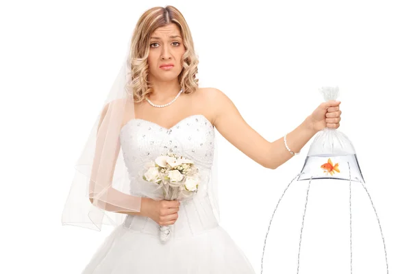 Sedih pengantin memegang ikan mas dalam tas — Stok Foto