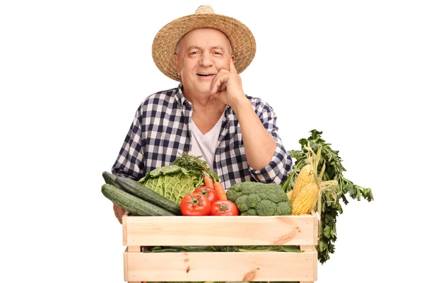 Agricultor detrás de una caja con verduras —  Fotos de Stock