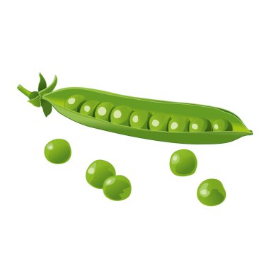 Yeşil bezelye. Yeşil bezelye kabuğunun sonu. Vektör görüntüsü. Beyaz arka planda izole edin. Paketleme tasarımı için element.