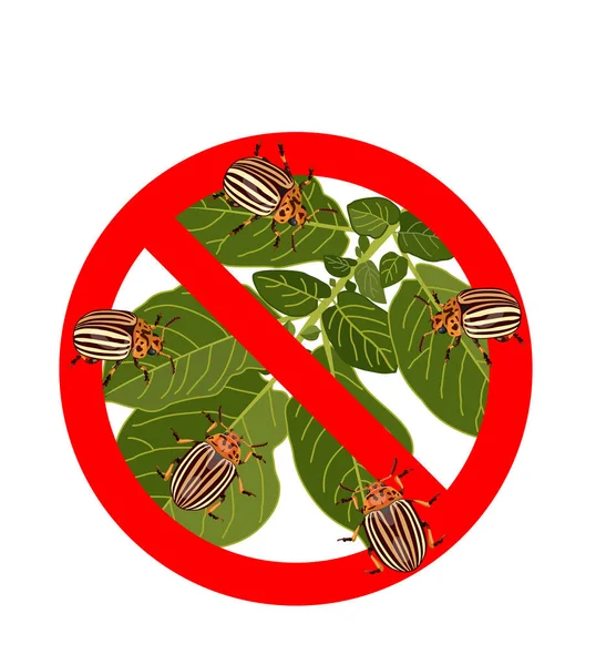 Bekämpa Skadedjur Colorado Potatisskalbagge Insekter Förbudsskylt Vektor Illustration — Stock vektor