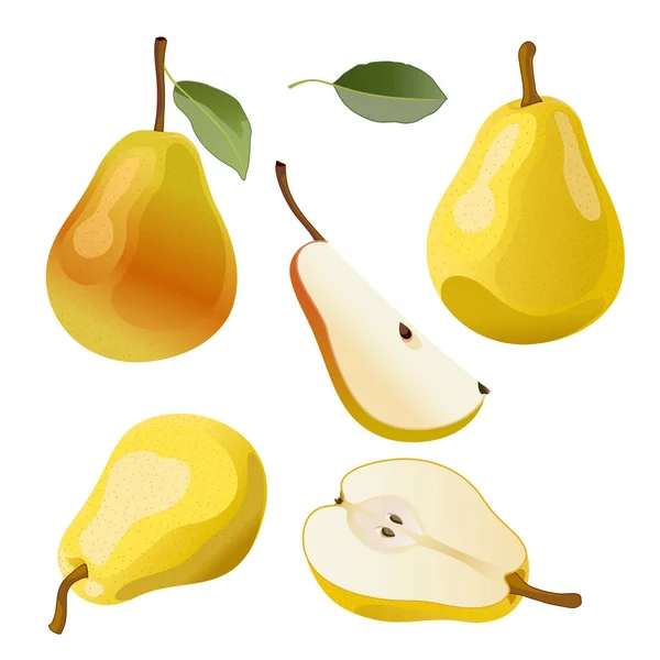 黄色的梨子 梨片隔离在白色的背景上 这棵树的果实是梨子 园中的果子 切碎的梨子包装设计的要素 矢量图像 — 图库矢量图片