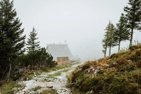 Traditionele Houten Huizen Tussen Groene Bomen Mist Bergontspanning Velika Planina — Stockfoto