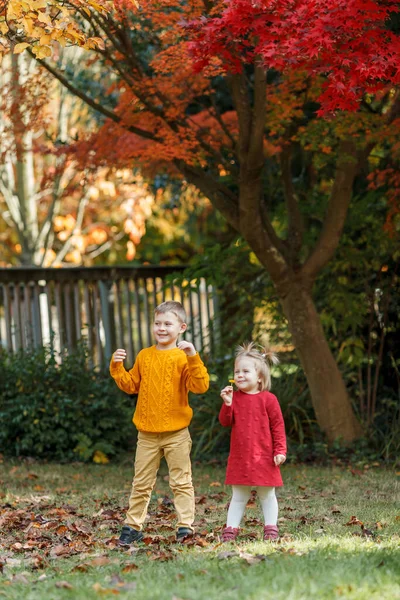Två barn går i höstparken. En lycklig familj. — Stockfoto