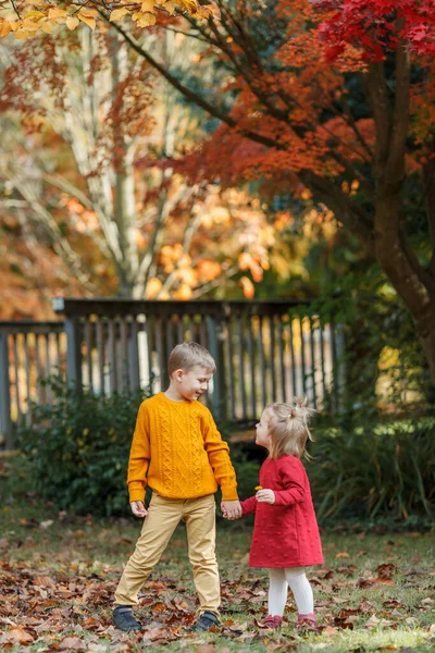 两个孩子在秋天的公园里散步。幸福的家庭. — 图库照片