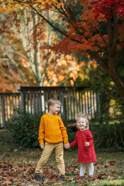 两个孩子在秋天的公园里散步。幸福的家庭. — 图库照片